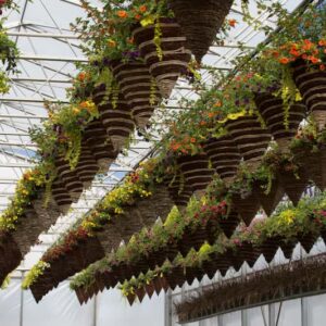 paniers-cones-assortiment