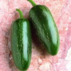 piment-fort-jalapeno-vert