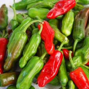 piment-greek-pepperoncini