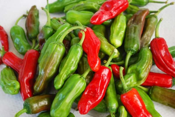 piment-greek-pepperoncini