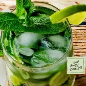 seme-saveurs-menthe-mojito