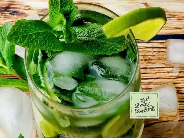 seme-saveurs-menthe-mojito